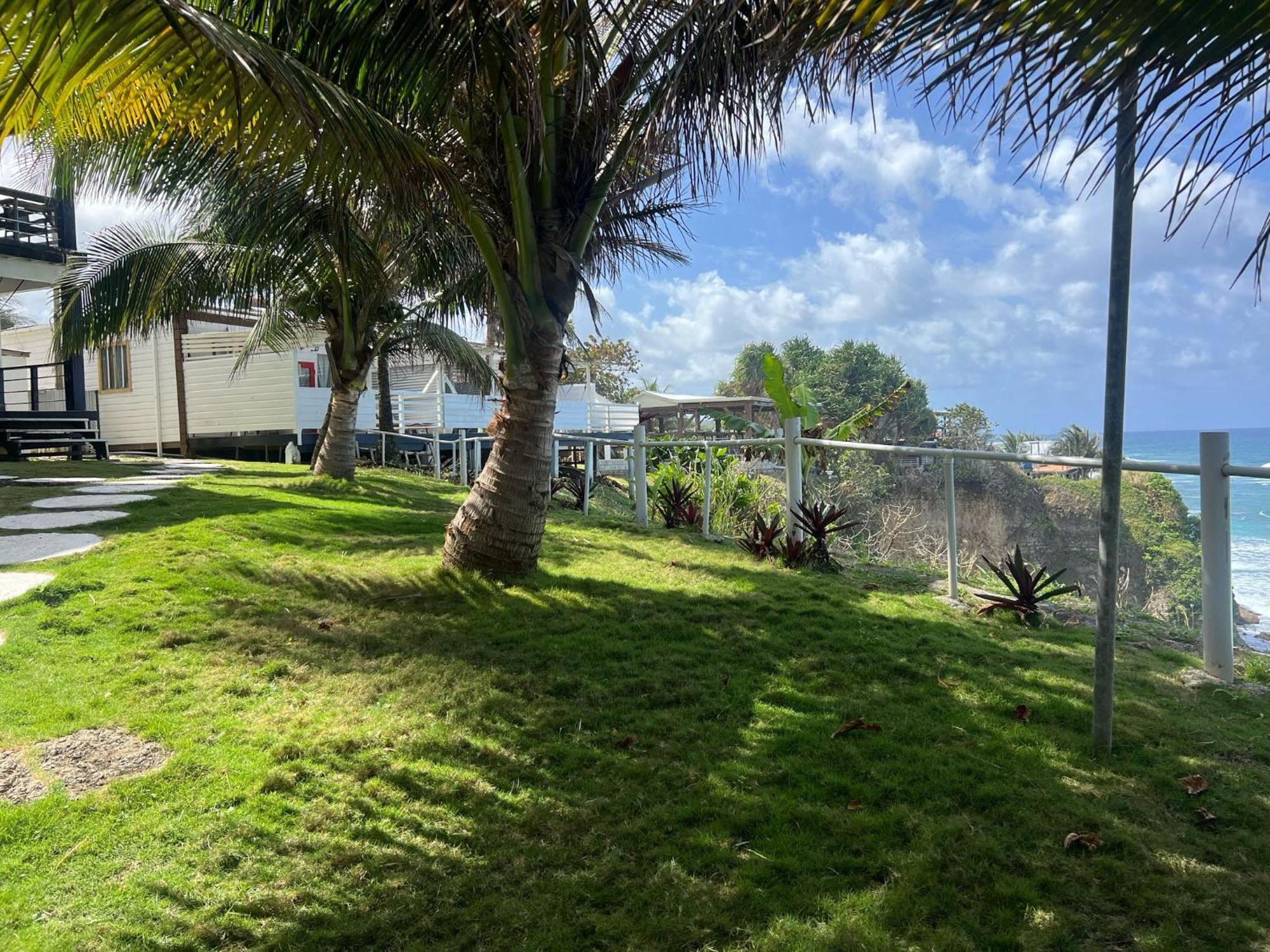 Hotel The Sea Cliff & 4*