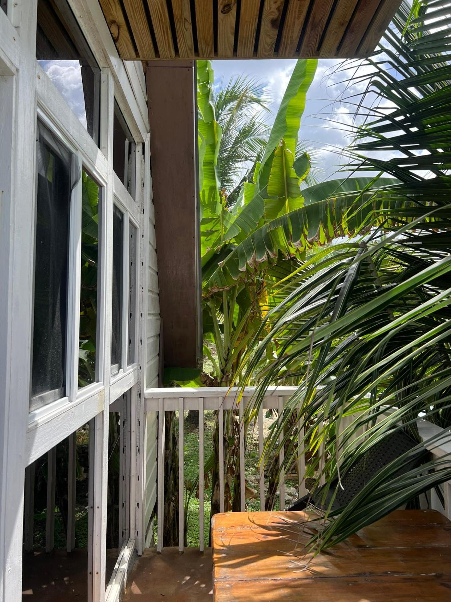 Hotel The Sea Cliff & Port Antonio