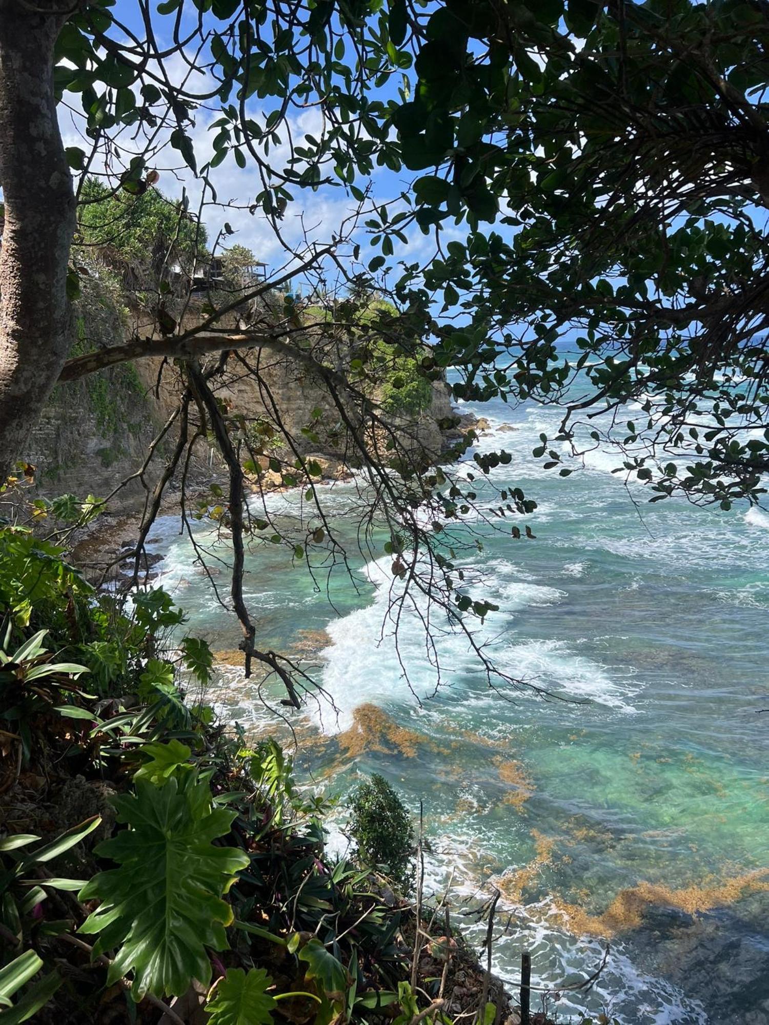 The Sea Cliff & Hotel