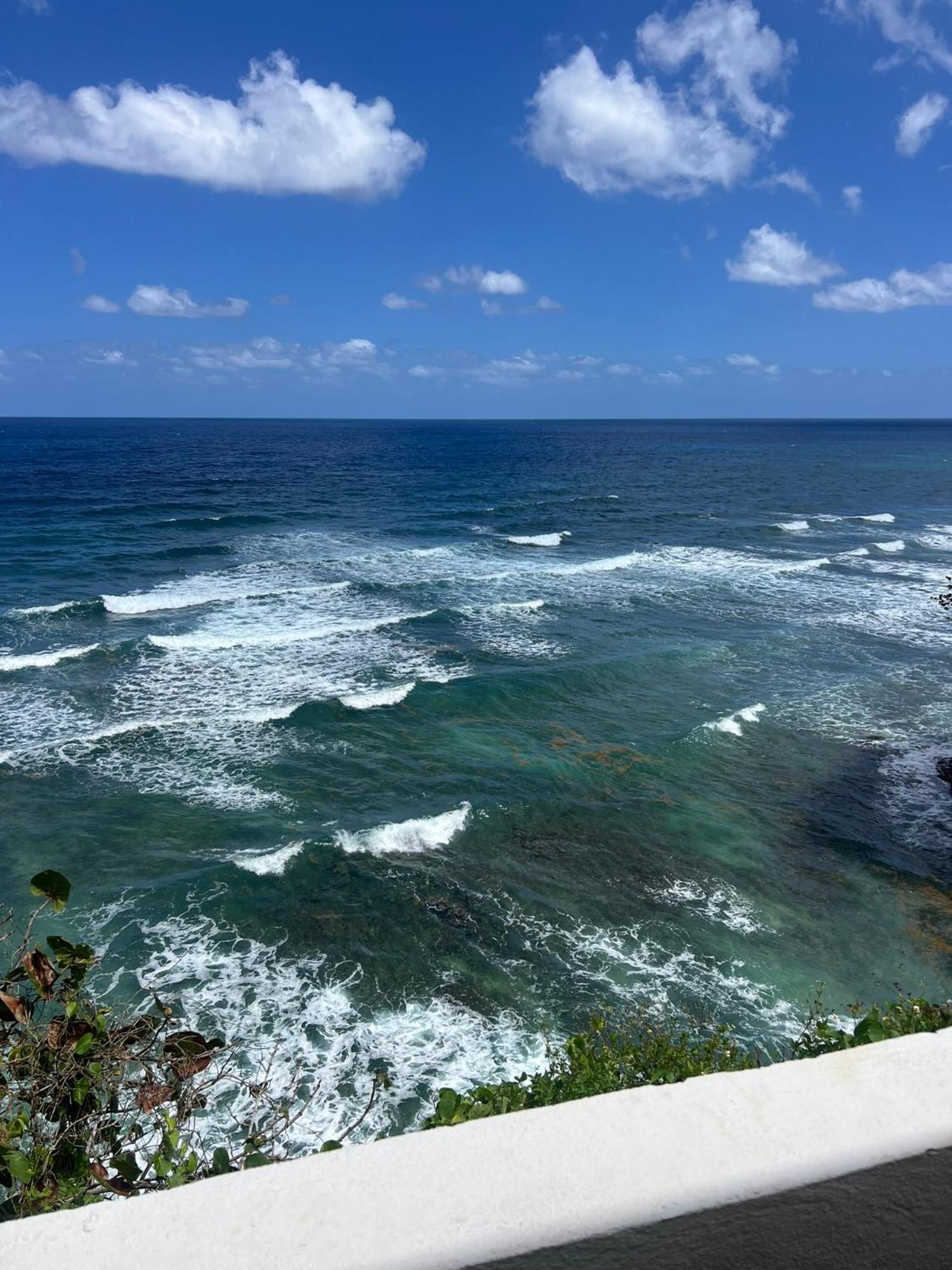 The Sea Cliff & Hotel Port Antonio